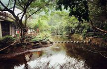Hangzhou Jiuxi and Hupao Spring Hiking Day Trip from Shanghai by Bullet Train