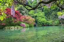 Half-Day Hangzhou Nine Creeks Hiking Tour with Tea Plantation Experience