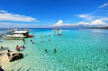 Whale Shark Watching + Simala Church Day Tour