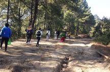 Chisapani Nagarkot Hiking - 2 Nights 3 Days (Shivapuri Nagarjun National Park)