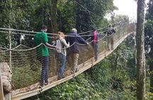 Three-day Nyungwe Canopy and Kivu Lake Adventure