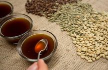A taste of Aquiares - 2 hours Coffee Tour