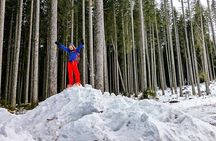 Snowshoeing in Triglav national park