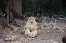 fes to middle atlas day trip