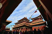 Private Tour to Lama Temple, Tian'anmen Square and Forbidden City