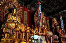 Private Tour to Lama Temple, Tian'anmen Square and Forbidden City