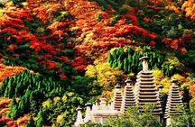 Beijing Private Tour to Fragrant Hill and Temple of Azure Clouds with Cable Car