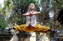 All Inclusive Luoyang Private Day Tour to Shaolin Temple and Longmen Grottoes