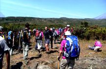 Rongai Route 6 Days 5 Nights/Kilimanjaro climb 