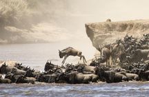 5 Days 4 Nights Tarangire, Serengeti , Ngorongoro & Manyara Wildlife Safari 