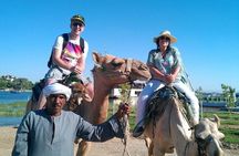 Luxor Camel Ride