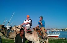 Luxor Camel Ride