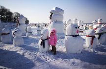4-Day Private Harbin Tour Combo Package of Winter Highlights with Meal Options