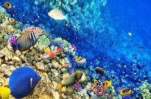 Hurghada Snorkelling