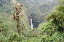 Volcano, Waterfalls, Zipline, Hot Springs Full Day Tour