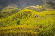 Mu Cang Chai trekking 4 days 3 nights