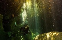 3 Cenote Dives - Casa & Dos Ojos