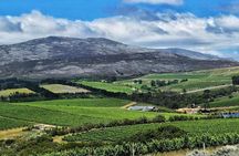 Stellenbosch Winelands Experience