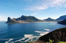 Revel in the Cape Peninsula (Penguins & Cape of Good Hope)
