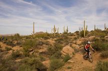 Half-Day Scottsdale Mountain Bike Tour
