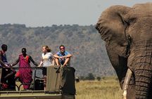 6 Days Tanzania Wildlife Camping Safari