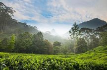 Day Trip to Nuwara Eliya with Kingfisher Tours