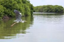 Lagoon Escapes Negombo Day Trip