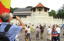 Day Trip to Kandy with Kingfisher Tours