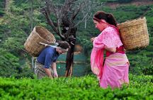 The Tea Hubs of Srilanka
