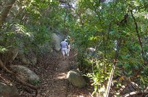 Half Day Tour Hiking La Roqueta Island and Lunch