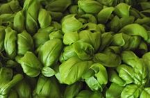 Cooking Class Pesto Sauce