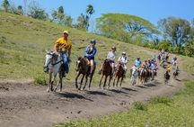 Mega Extreme Adventure: Horseback Riding, Ziplining and more