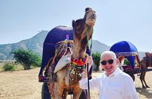 Private 9 Days Heritage Tour of Rajasthan By Car & Driver