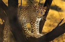 Private Full Day Outdoor Activities in Jaipur with Tickets