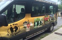 Smoky Mountain Guided Scenic High Van Tour