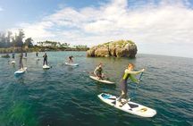 Paddle Surf in Cantabria