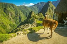 Travel Tour to machu picchu Full Day