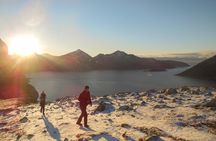 Sightseeing and hike with Tromso Outdoor