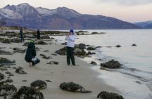 Sightseeing and hike with Tromso Outdoor