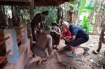 Long Tan and Nui Dat - Australian Battlefield one-day tour from Ho Chi Minh City
