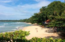 Snorkeling! & Cahuita national park Private Sightseeing Tours