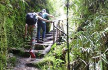 Inca Trail Adventure: 2-Day Hike to Machu Picchu