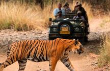 Five Days Golden Triangle Tour with Ranthambore Delhi Agra Jaipur