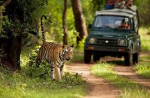7 Days Golden Triangle Tour with Ranthambore: Delhi Agra Jaipur