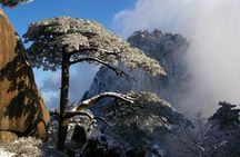 1 Day Mt Huangshan(Yellow Mountain) Group Tour-No Shopping