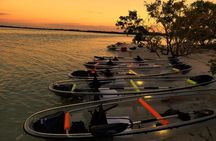 Small-Group Clear Kayak Tour in Shell Key
