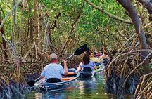 Small-Group Clear Kayak Tour in Shell Key