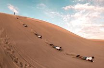 Huacachina Oasis and Mini-Galapagos Most reviewed company in Peru