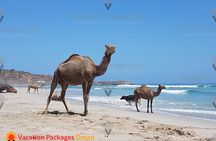 Empty Quarter 'Rub Al Khali' Day Tour - 4X4 Safari Adventure