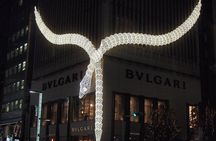 Shop Up A Storm In Tokyo's Ginza District with a Local Host